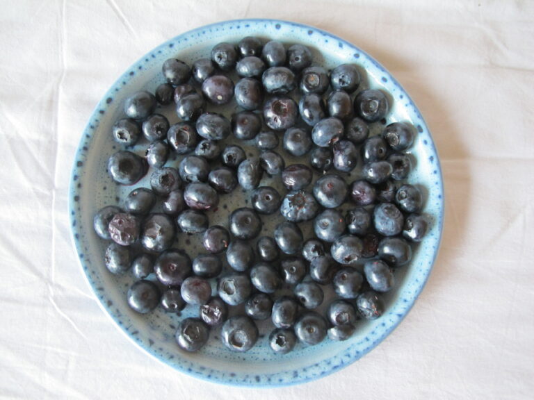 Quel fruit améliorer la vue ?