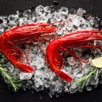 Quel fruit de mer Peut-on congeler ?