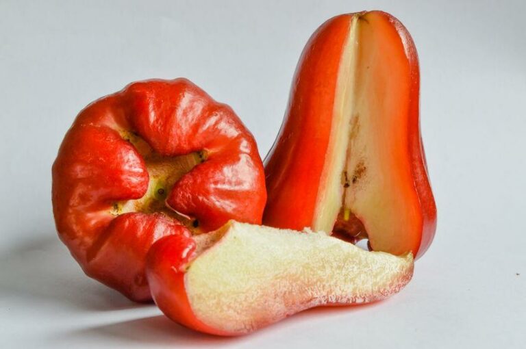 Quel fruit et légume commence par un J ?