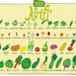 Quel fruits et légumes en août ?