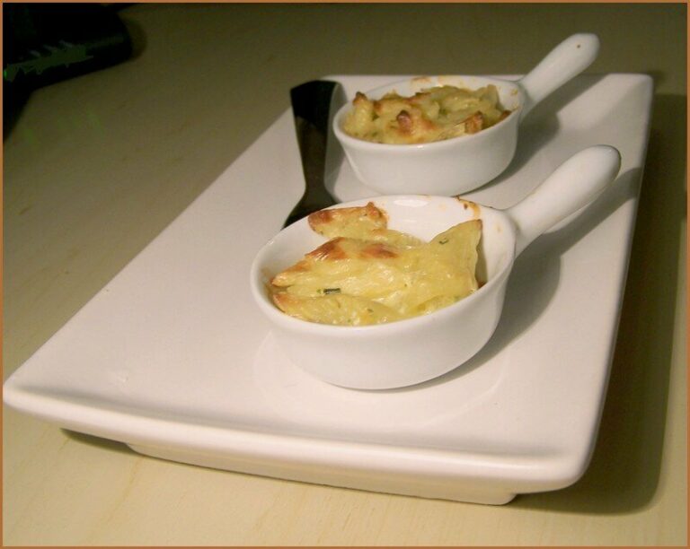 Quel genre d’apéro avant les lasagne ? Quel genre d'apéro avant les lasagne ?