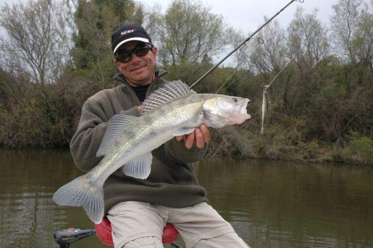 Quel goût a le sandre ? Quel goût a le sandre ?