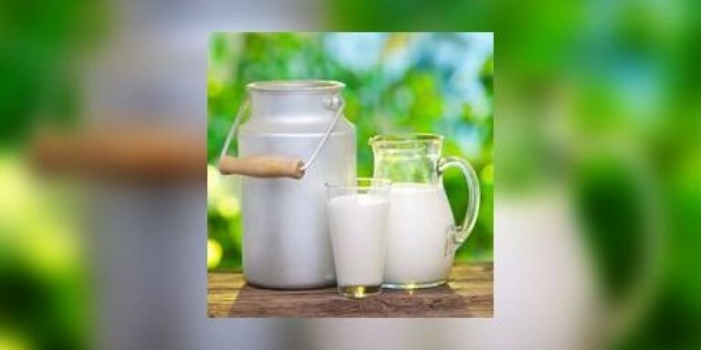 Quel lait entier choisir ? Quel lait entier choisir ?