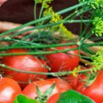 Quel légume en novembre ?