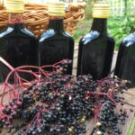 Quel moment pour cueillir les baies de myrte ?