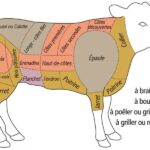 Quel morceau de veau est le plus tendre ?