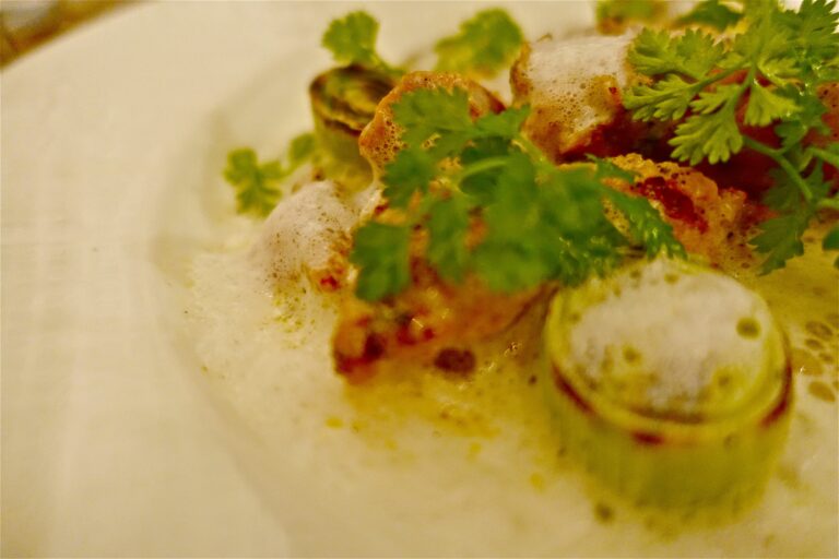 Quel muscle est le Sot-l’y-laisse ? Quel muscle est le Sot-l'y-laisse ?