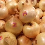 Quel oignon doux ?