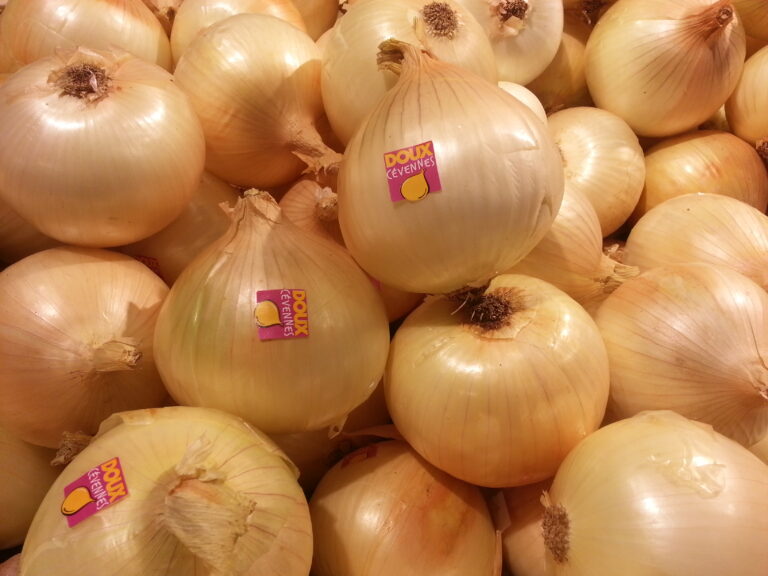 Quel oignon doux ?