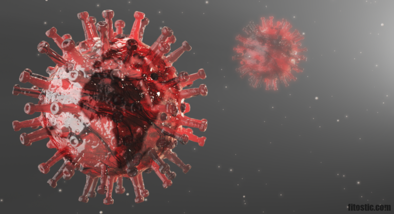 Quel pain manger pour ne pas avoir de gaz ?