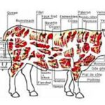 Quel partie du bœuf est le filet mignon ?