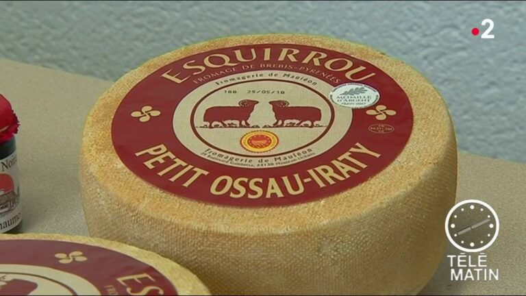 Quel pays a les meilleur fromage du monde ?