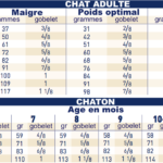 Quel poids de nourriture par jour ?