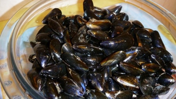 Quel poids fait 1 litre de moules ?