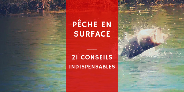 Quel poids poisson par personne ? Quel poids poisson par personne ?