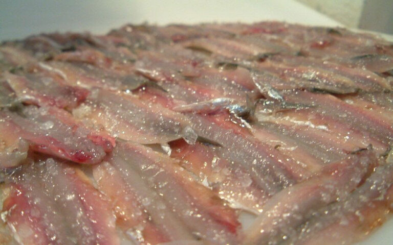 Quel poisson Peut-on congeler ?