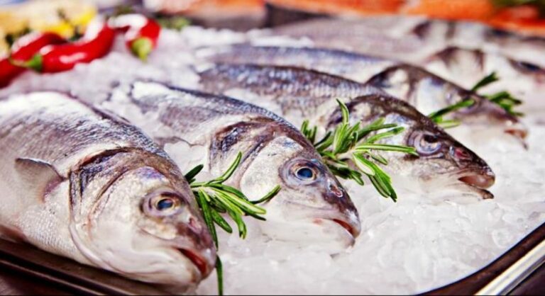 Quel poisson manger tous les jours ? Quel poisson manger tous les jours ?