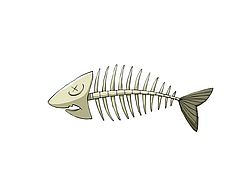 Quel poisson n'ont pas d'arête ?