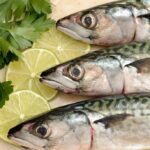 Quel poisson peut remplacer le maquereau ?