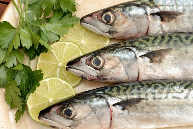 Quel poisson peut remplacer le maquereau ?