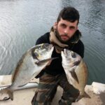 Quel poisson se rapproche de la daurade ?