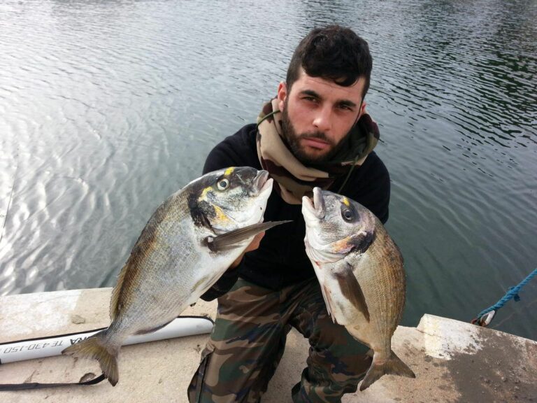 Quel poisson se rapproche de la daurade ?