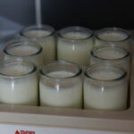 Quel pot mettre dans une yaourtière ?