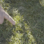 Quel produit pour enlever la mousse dans le gazon ?