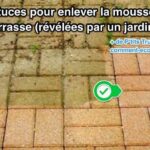 Quel produit pour enlever la mousse sur une terrasse ?