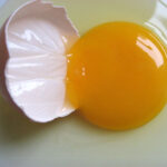 Quel risque œuf cru enceinte ?