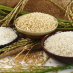 Quel riz pour perdre du poids ?