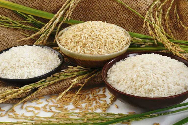 Quel riz pour perdre du poids ? Quel riz pour perdre du poids ?