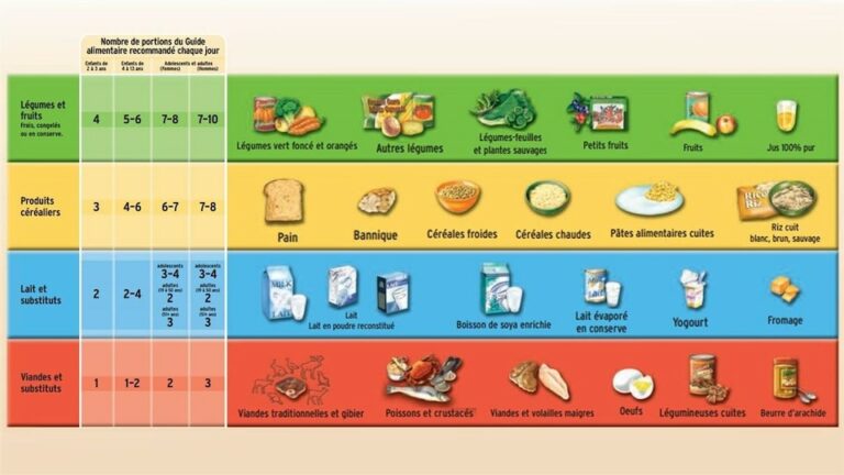 Quel sont les 4 groupes du Guide alimentaire canadien ?