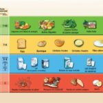 Quel sont les 4 groupes du Guide alimentaire canadien ?