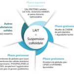 Quel sont les composants du lait ?