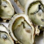 Quel sont les meilleur mois pour manger des moules ?