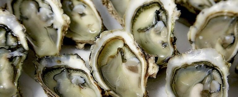 Quel sont les meilleur mois pour manger des moules ?