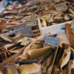 Quel sont les poissons à chair ferme ?