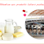 Quel sont les produits laitiers pasteurisés ?