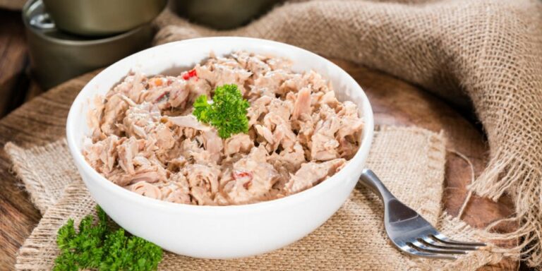 Quel thon en boite enceinte ?