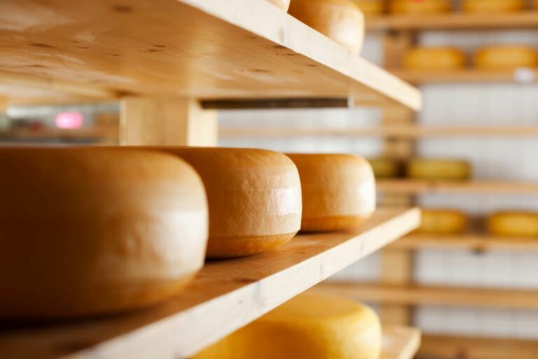 Quel type de fromage est le Chaussée aux moines ?
