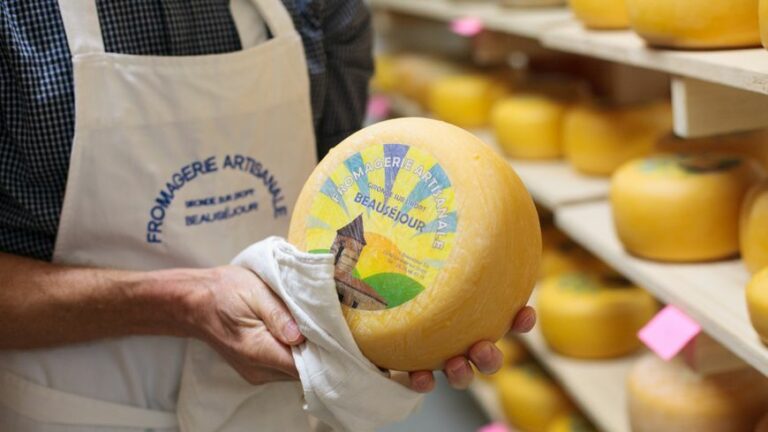 Quel type de fromage est le gouda ?