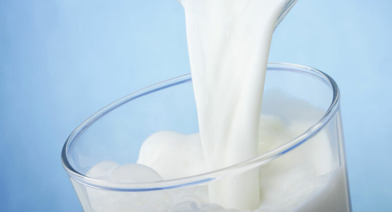 Quel type de lait boire ?