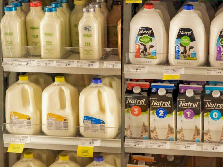 Quel type de lait est bon pour la santé ? Quel type de lait est bon pour la santé ?
