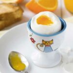 Quel type d'œuf Peut-on manger enceinte ?