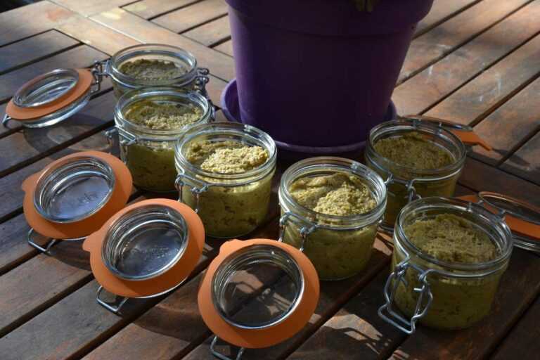 Quel type d’olive pour la tapenade ? Quel type d'olive pour la tapenade ?