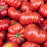 Quel variété de tomate pour sauce ?