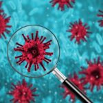 Quelle bacterie dans le Roquefort ?