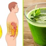 Quelle boisson pour perdre la graisse du ventre ?