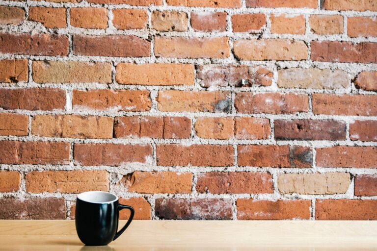 Quelle brique pour mur extérieur ?